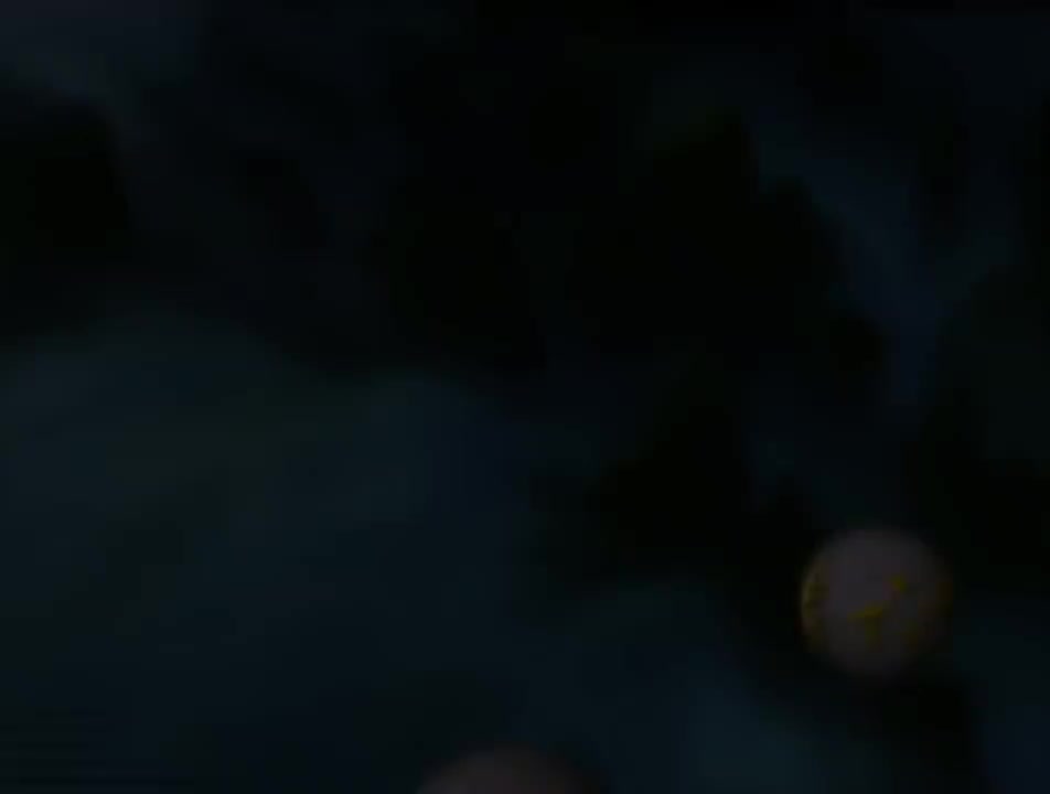 第22集 莲花洞降妖