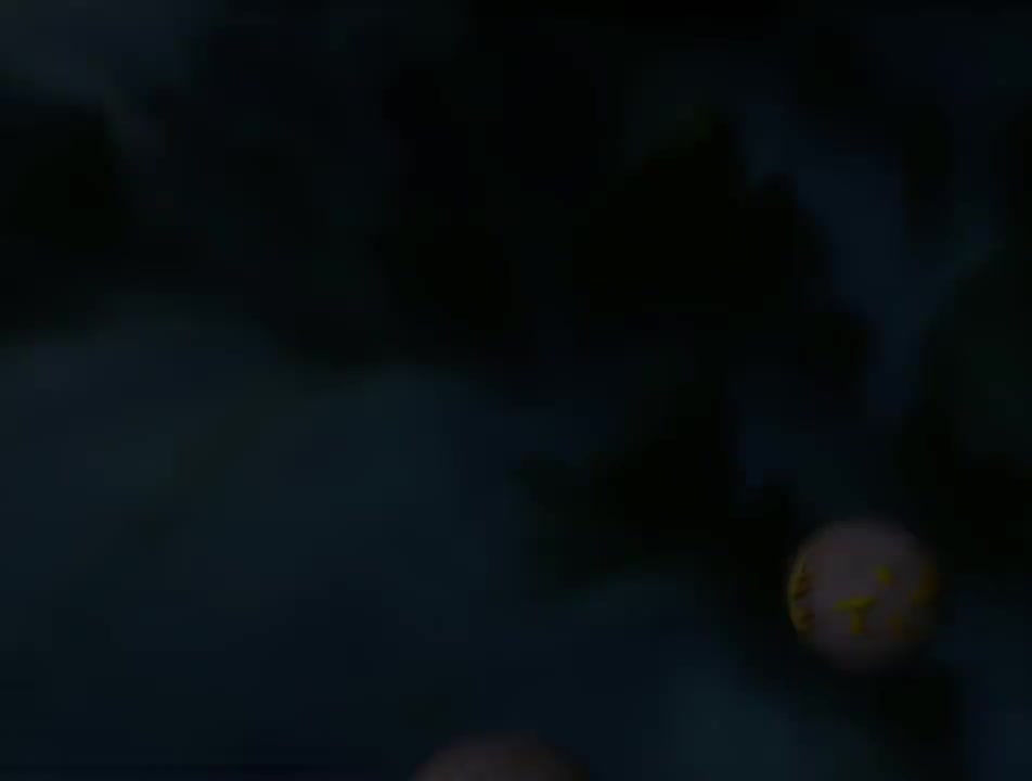 第28集 大圣除三妖