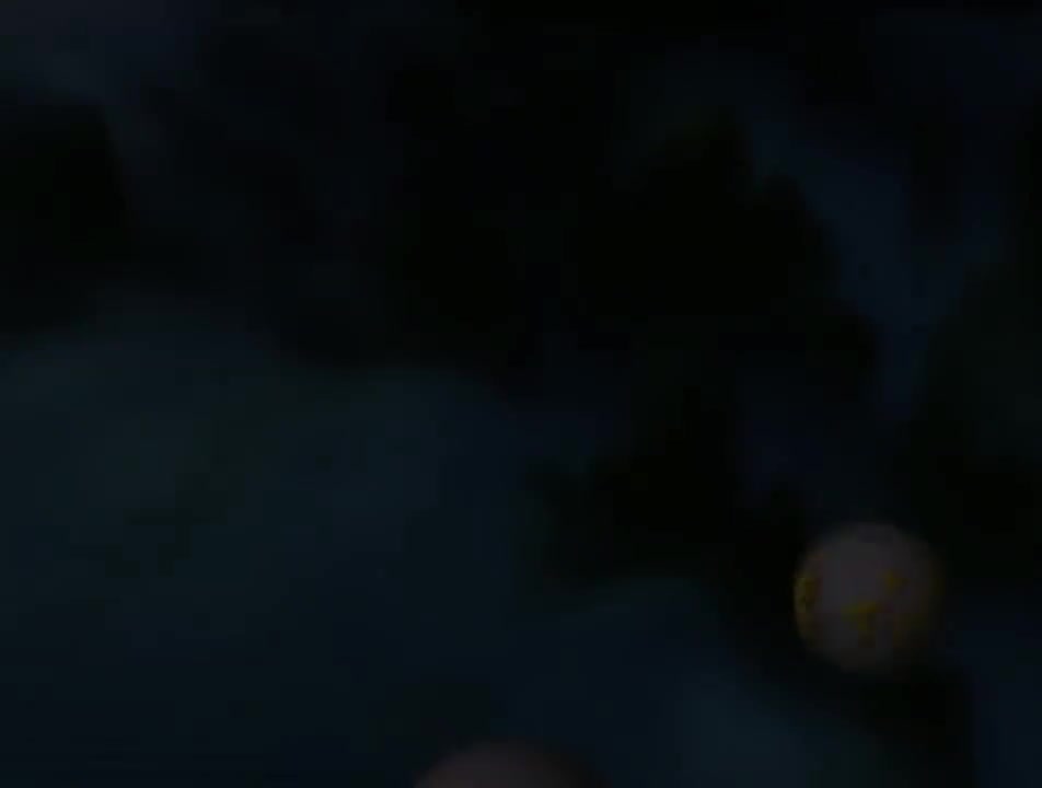 第21集 平顶山遇险