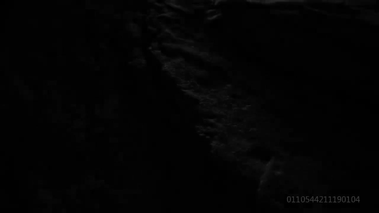 大足石刻：石头上的世界---1. 愿者之力