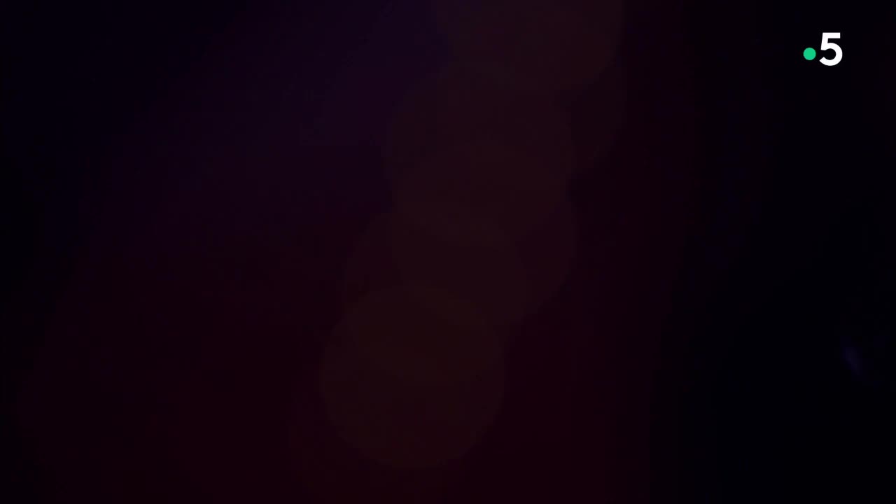 圣桑——《动物狂欢节》