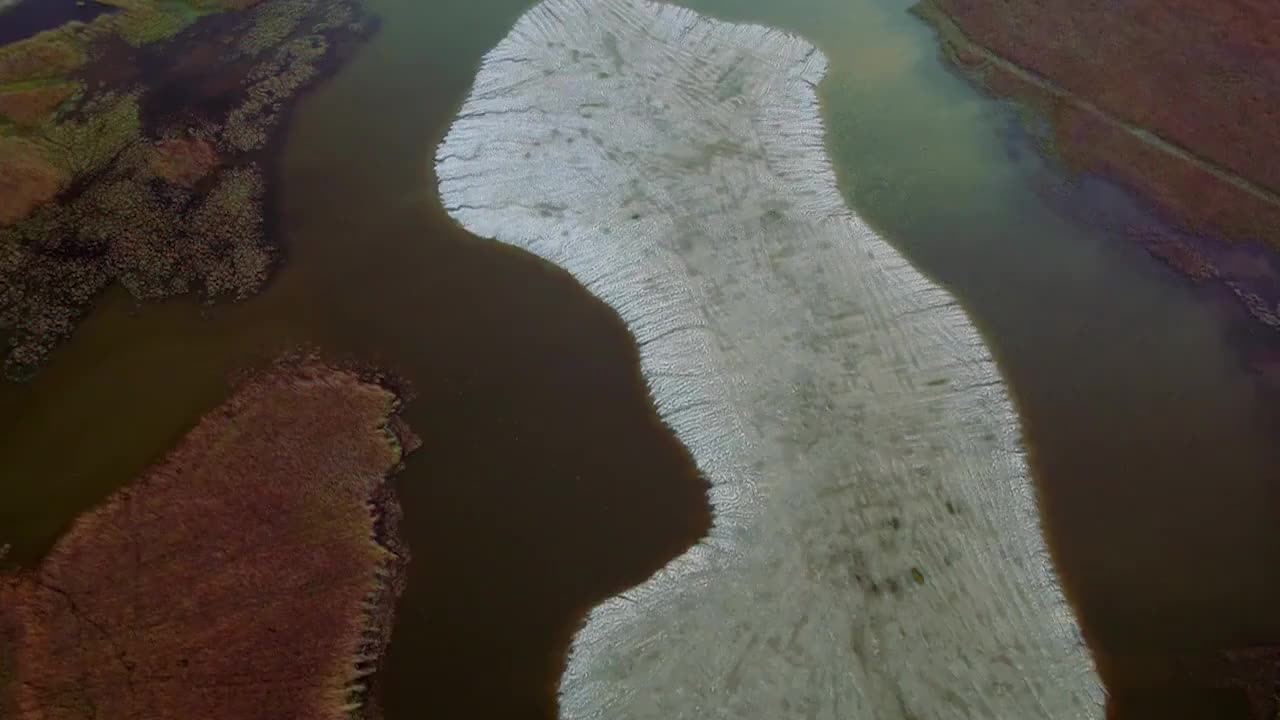 53、麋鹿回家的故事