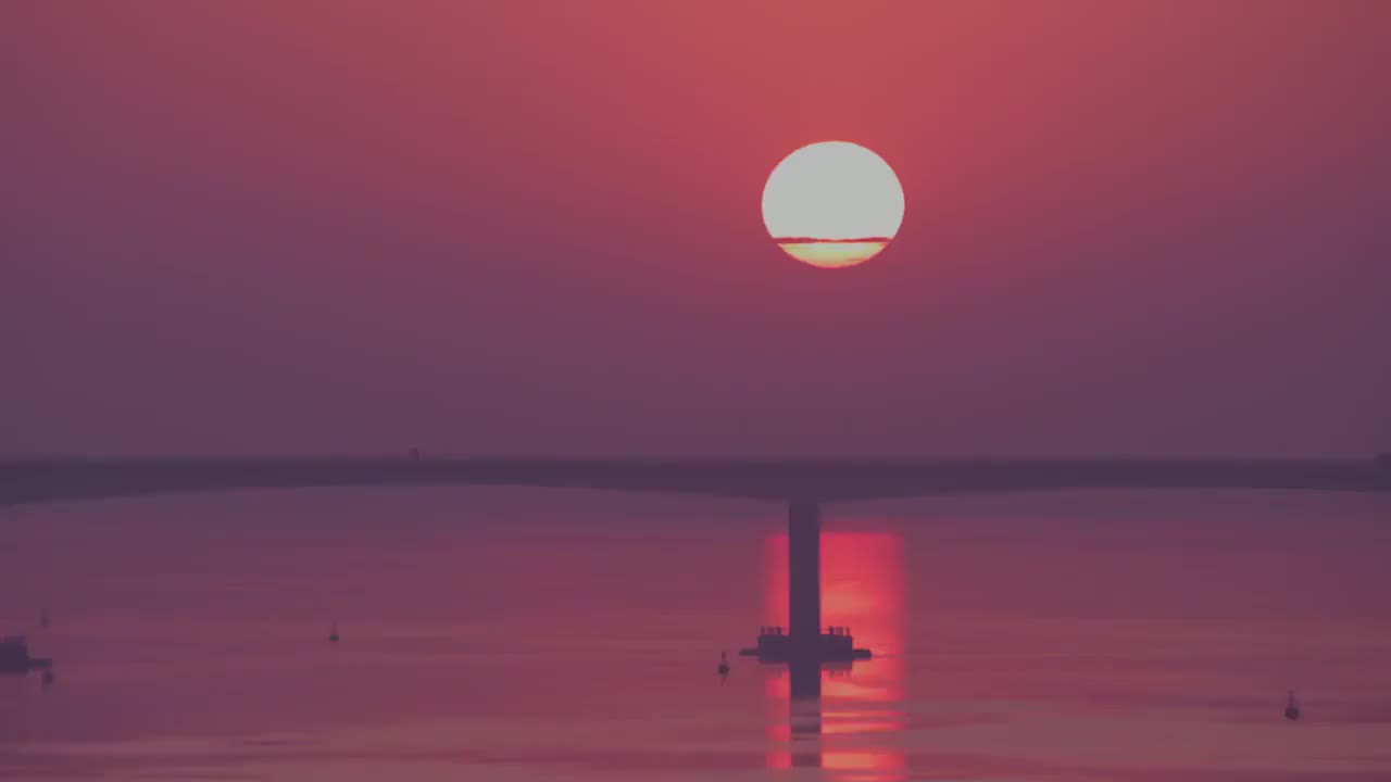 57、长江三角洲 太平洋西岸最大的候鸟停歇地