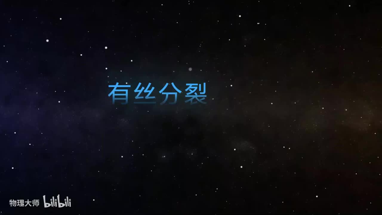 19-2有丝分裂——活字印刷