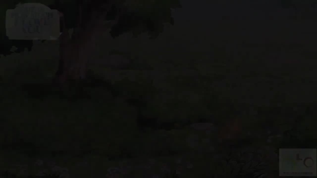 113 ALLTHECOLOURSOFTHERAINBOW