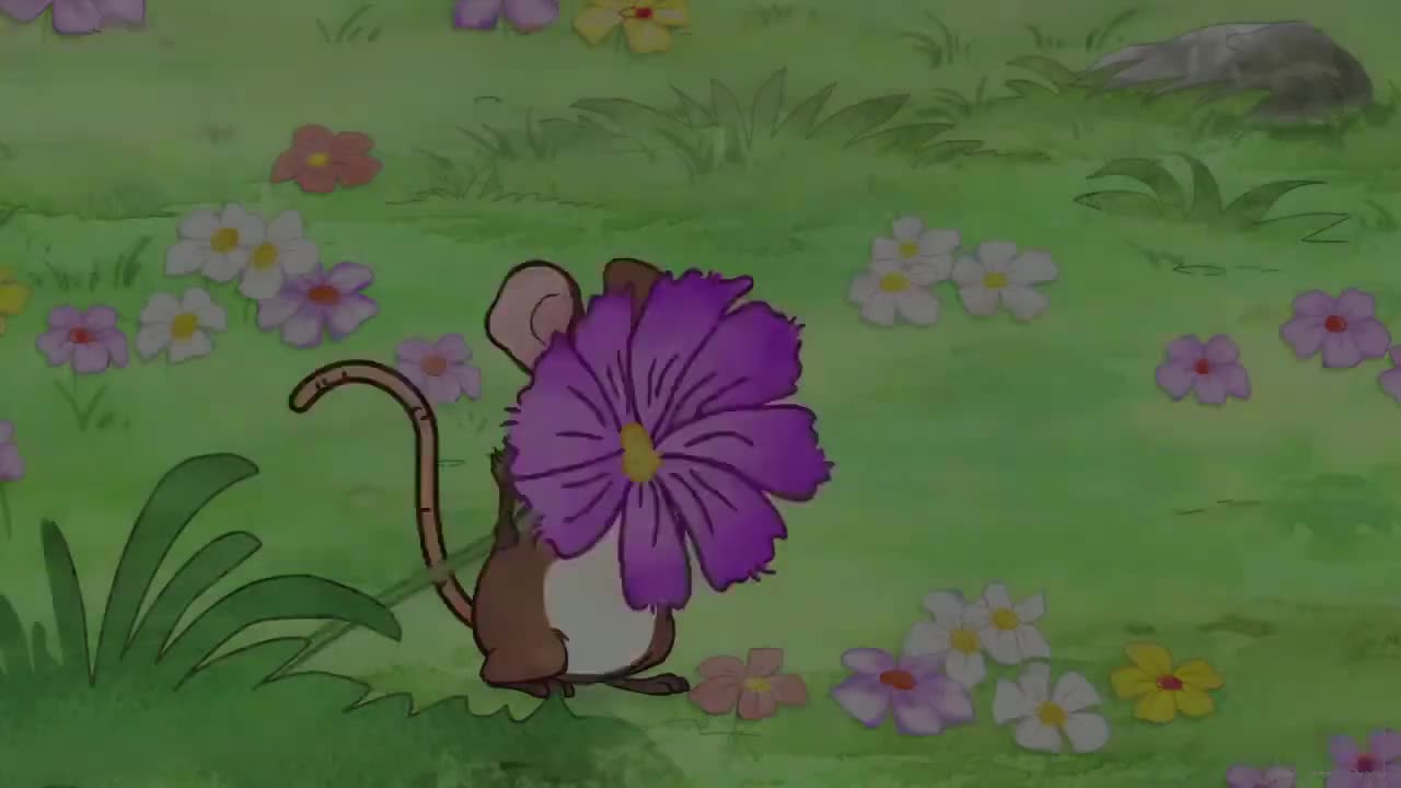 055 FIELDSOFFLOWERS!