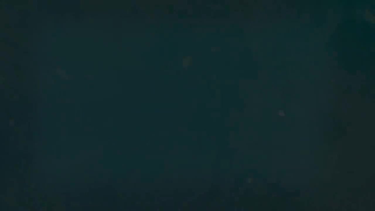 4.2 情态动词客观表达