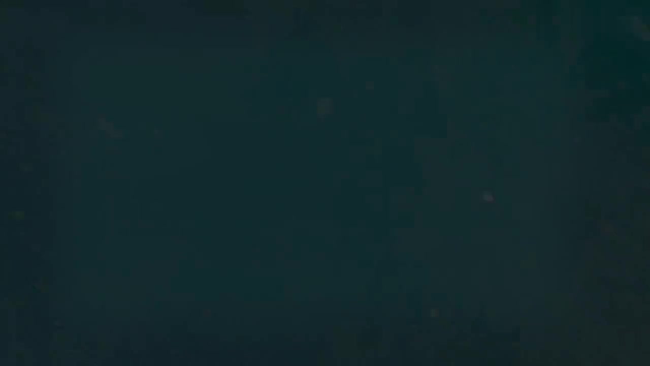 4.4 其它接不带zu的不定式的动词（上）