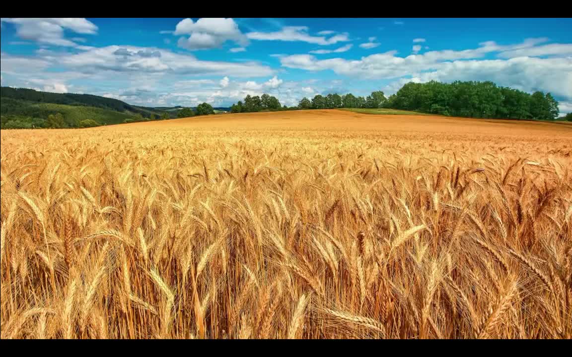 Imagine Dragons、JID、英雄联盟 - ENEMY (宿敌)