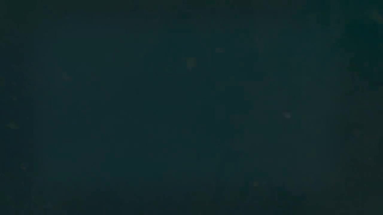 2.3 补足语与说明语（下）