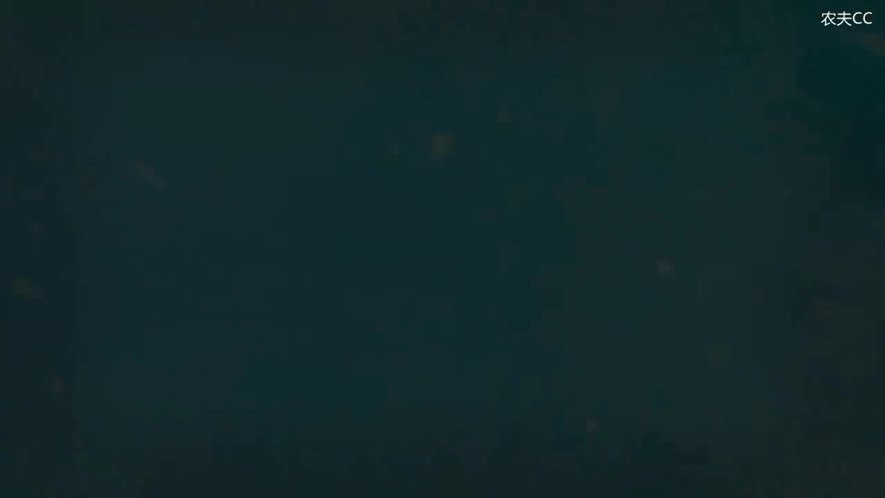 6.3 表示非现实性的第二虚拟式