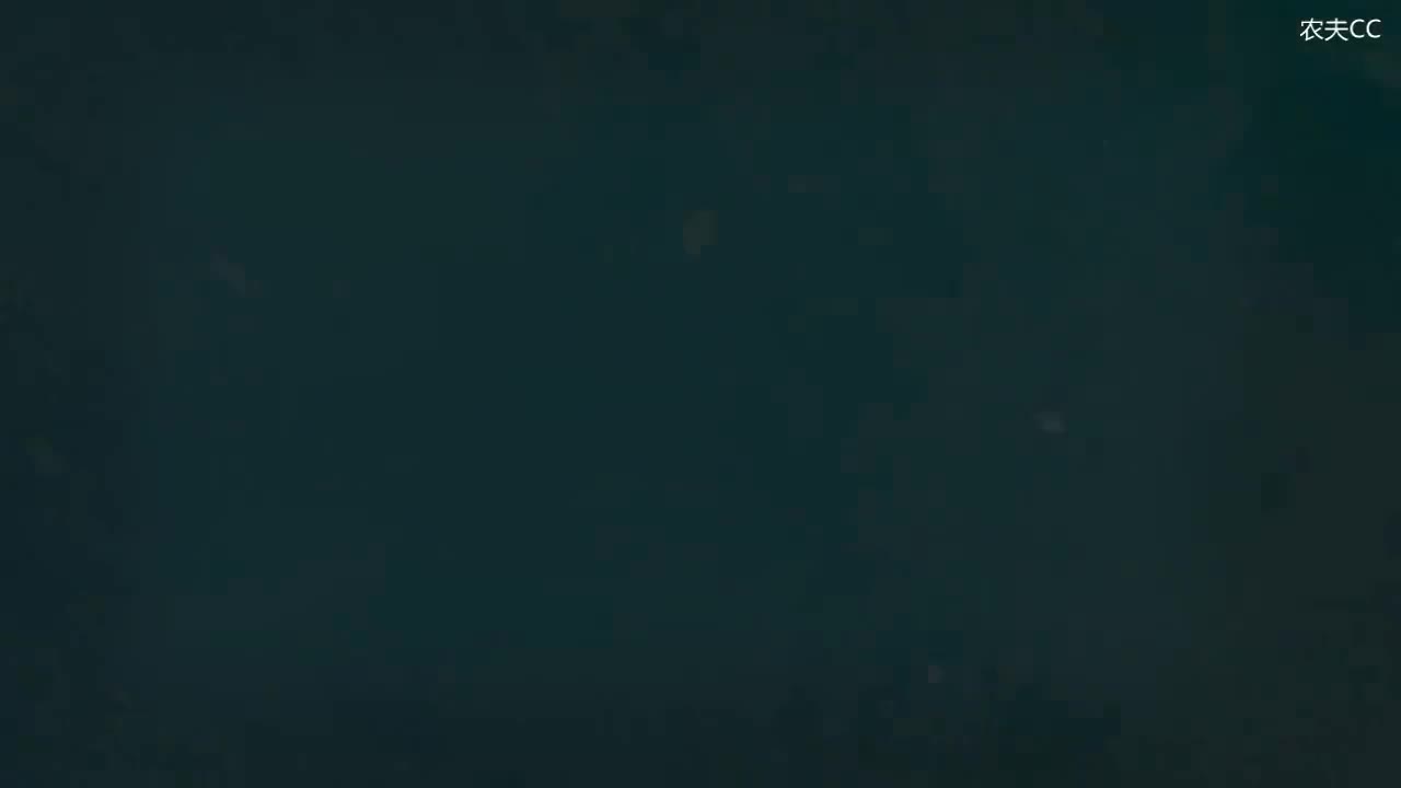 7.3 冠词的用法（下）