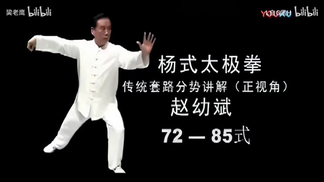 赵幼斌杨氏85式72-85式教学视频-720P