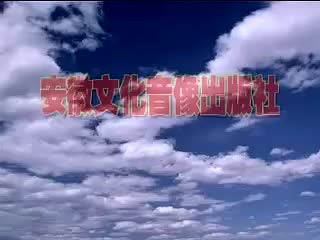 040.黄梅全场戏 -苦菜花