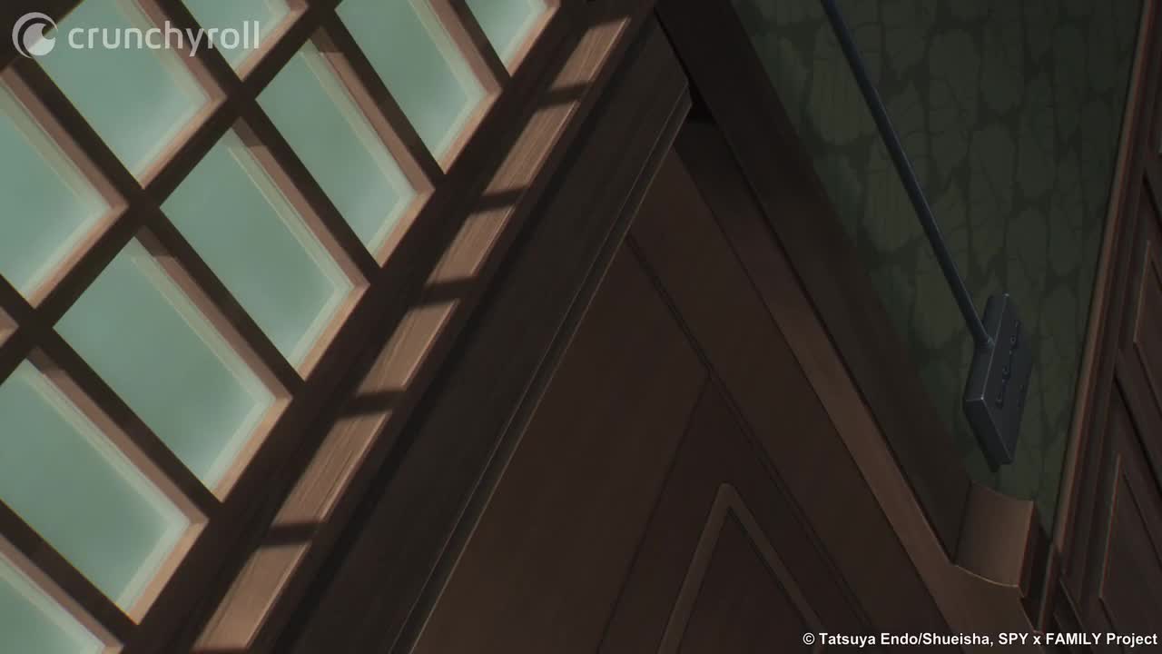 3.阿尼亚被绑架