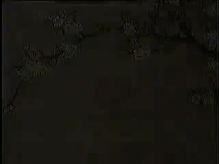 023.黄梅全场戏 -新女驸马