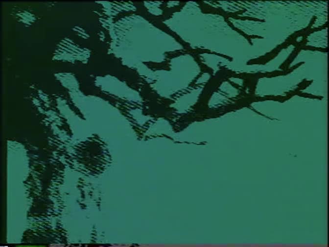 恩怨情 綦C芳、王.·波等山东省莱州市吕剧团演员早年演出