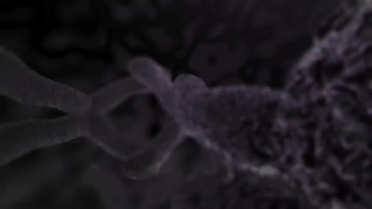 哮喘3D动画 46-Asthma