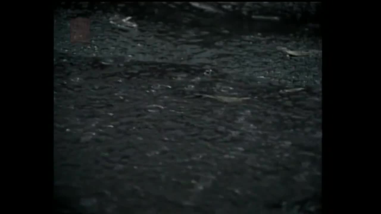 张宇 - 雨一直下