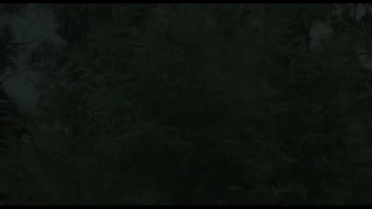 蔡旻佑 - 我可以