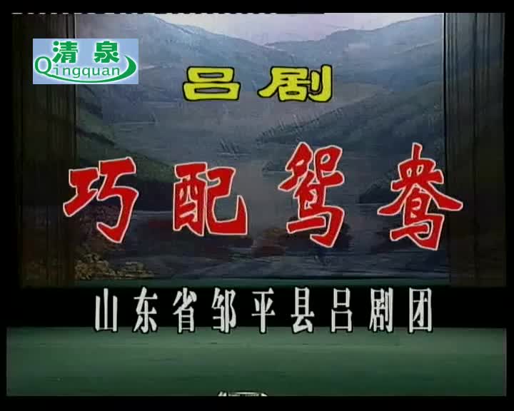 巧配鸳鸯 山东省邹平县吕剧团演员舞台演出