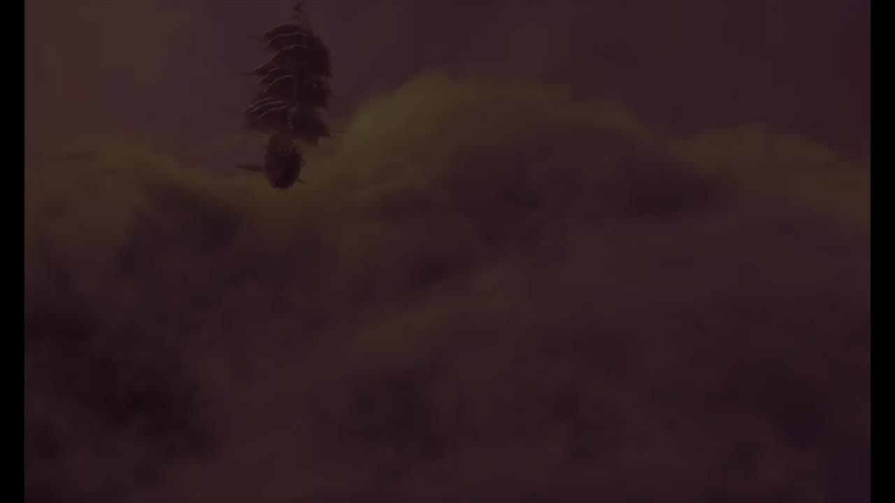 星银岛 - I'm Still Here