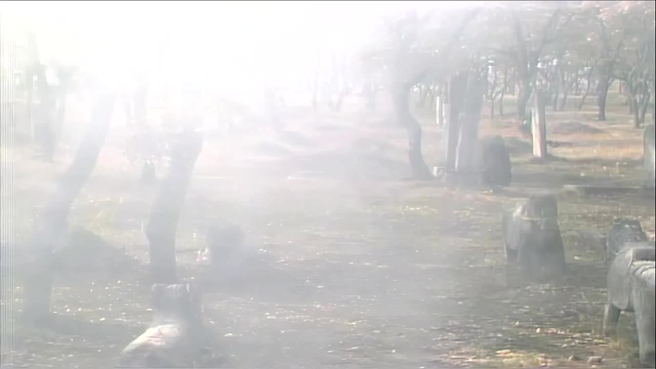 伴奏-好了歌
