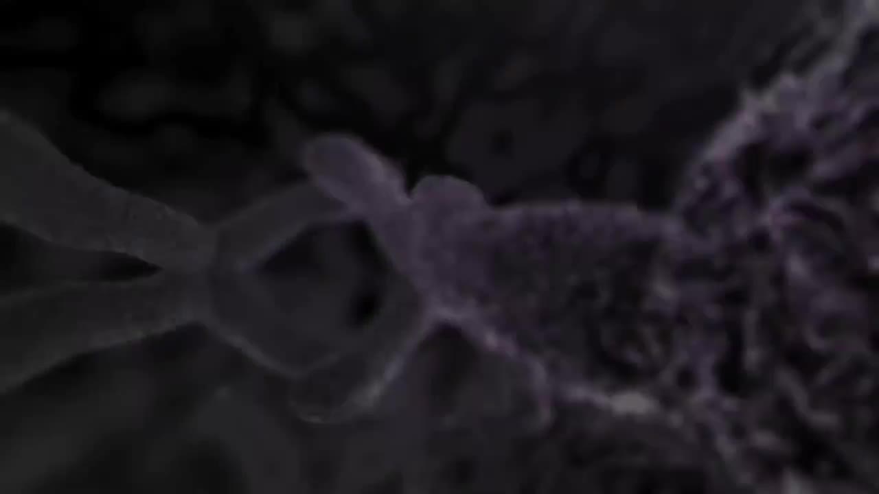 输卵管结扎手术 97-Tubal Ligation Surgery