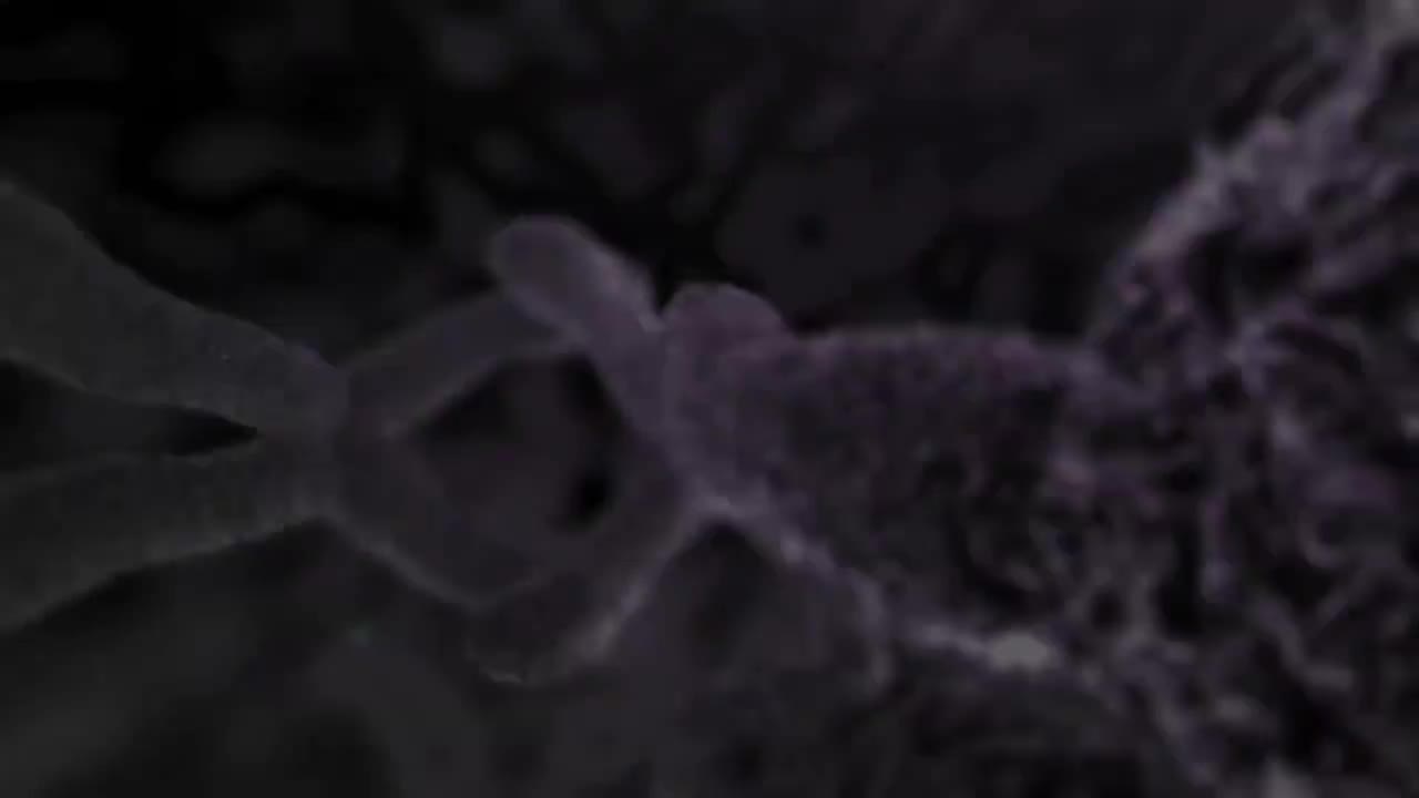 母乳哺育 78-Breastfeeding