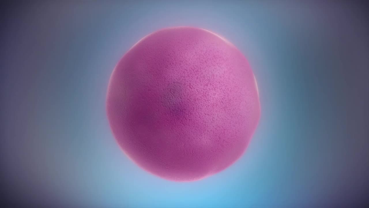 DNA到蛋白质3D动画 2-From DNA to protein - 3D