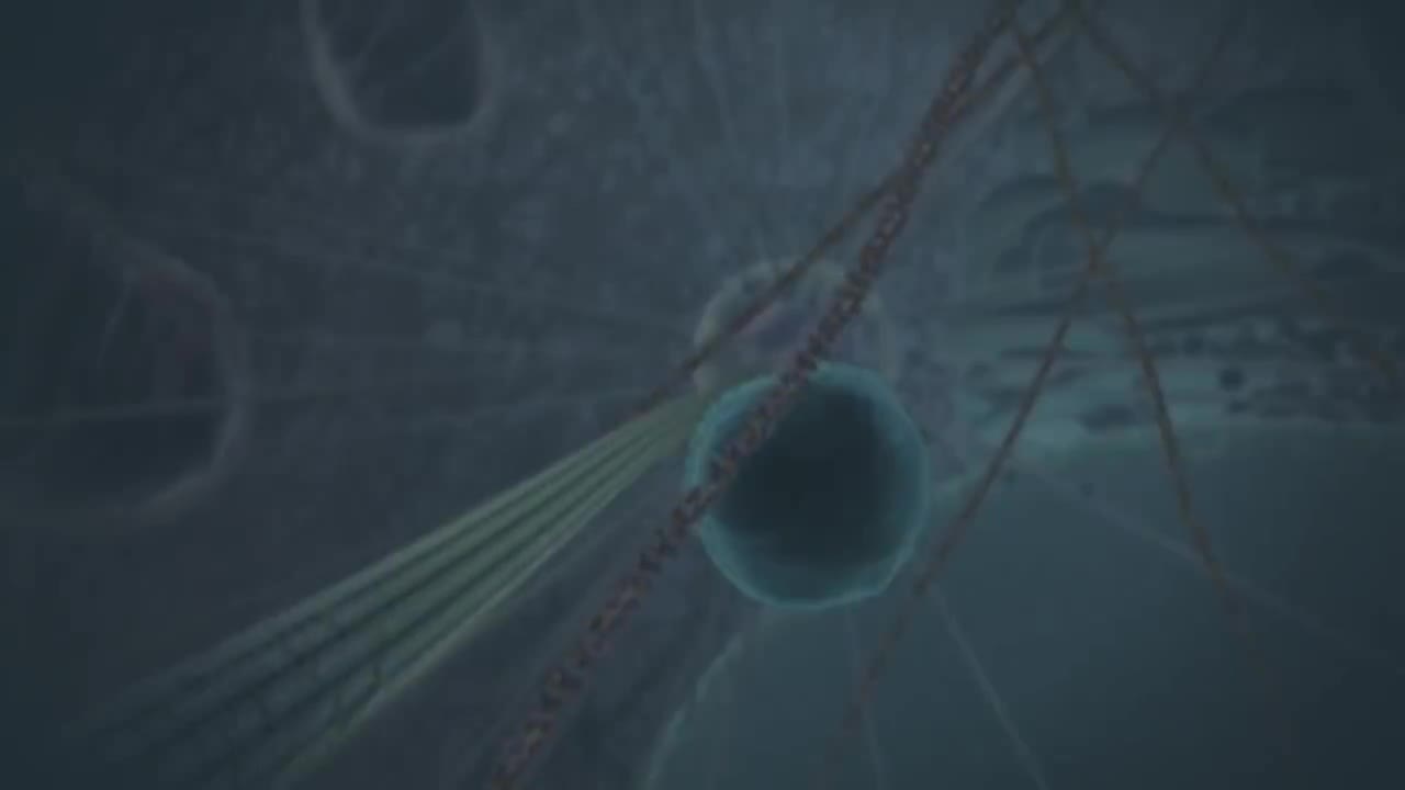 ATP合成酶 2-ATP synthase in action