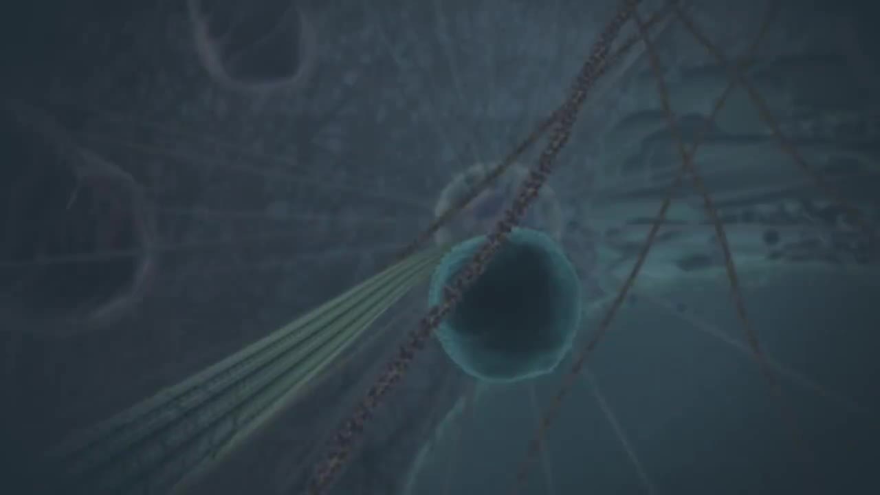 细胞结构概述 6-Overview of cell structure