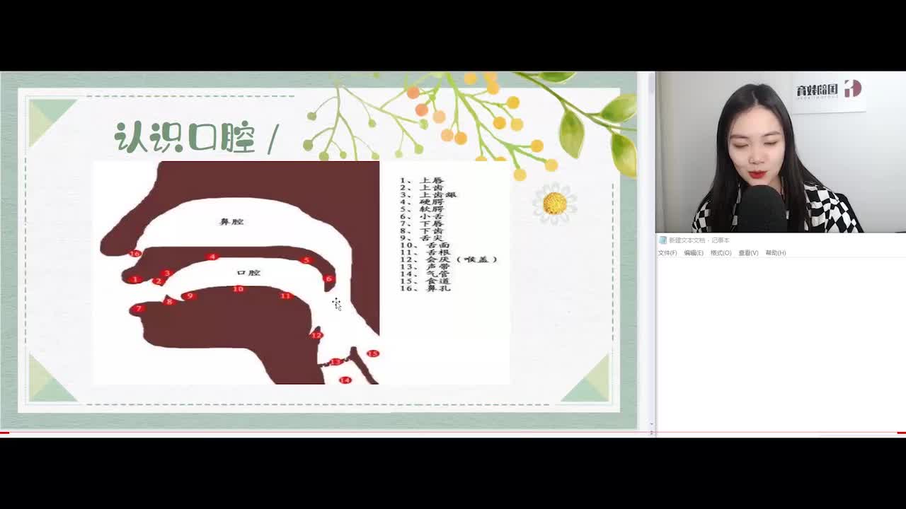 声母概述以及发声过程