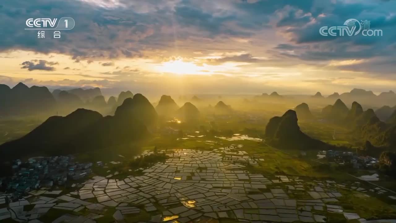 央视《端牢中国饭碗》 第5集 稻花飘香