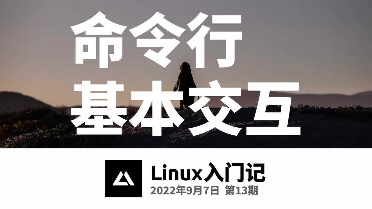 13，命令行的基本交互