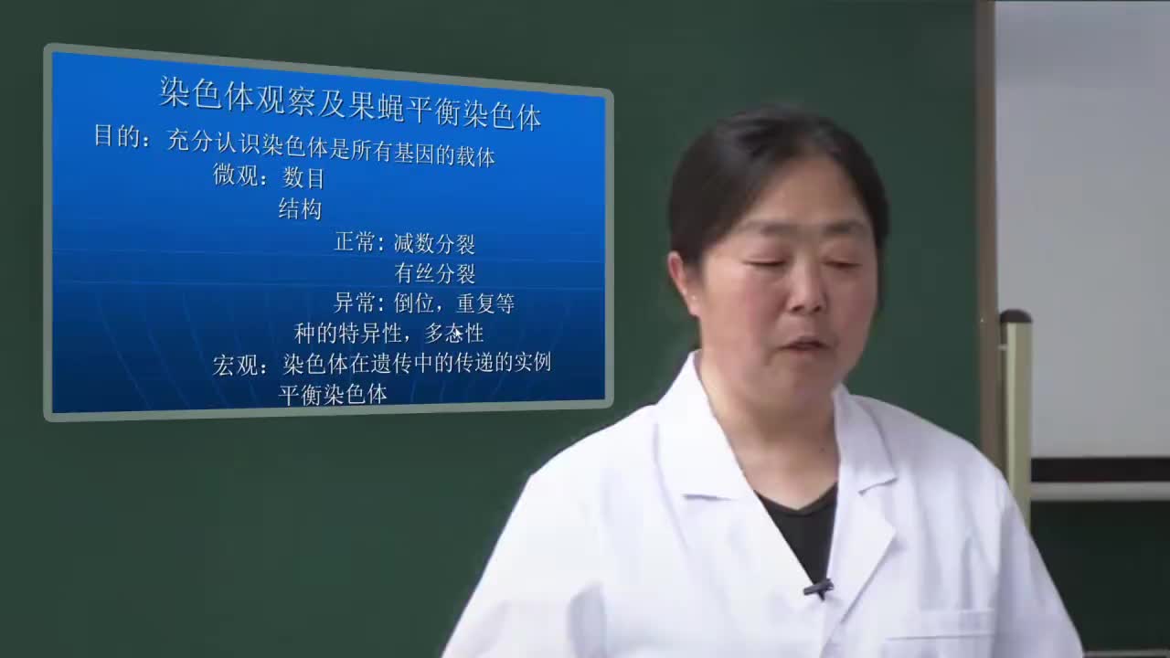 2.1.1-实验理论：染色体观察及果蝇的平衡染色体-1
