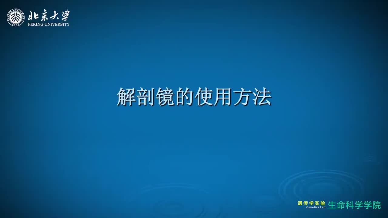 1.2.1-解剖镜的使用方法
