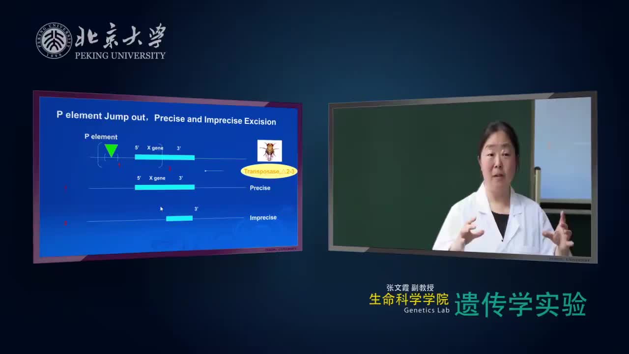 8.3.1-实验理论：筛选特定表型或者信号通路相关基因实例-3