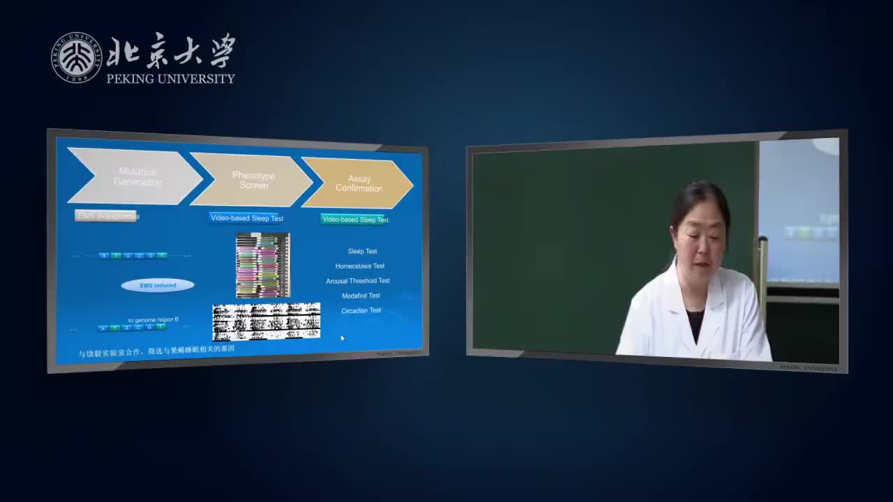 8.2.1-实验理论：筛选特定表型或者信号通路相关基因实例-2