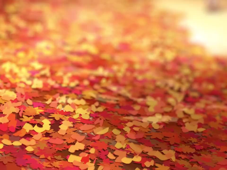 濑田 薰 - 梦幻，倾倒