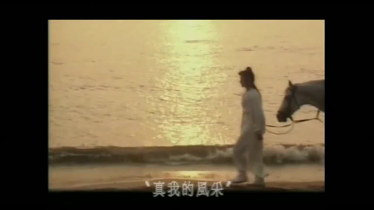 刘德华-真我的风采（TVB）