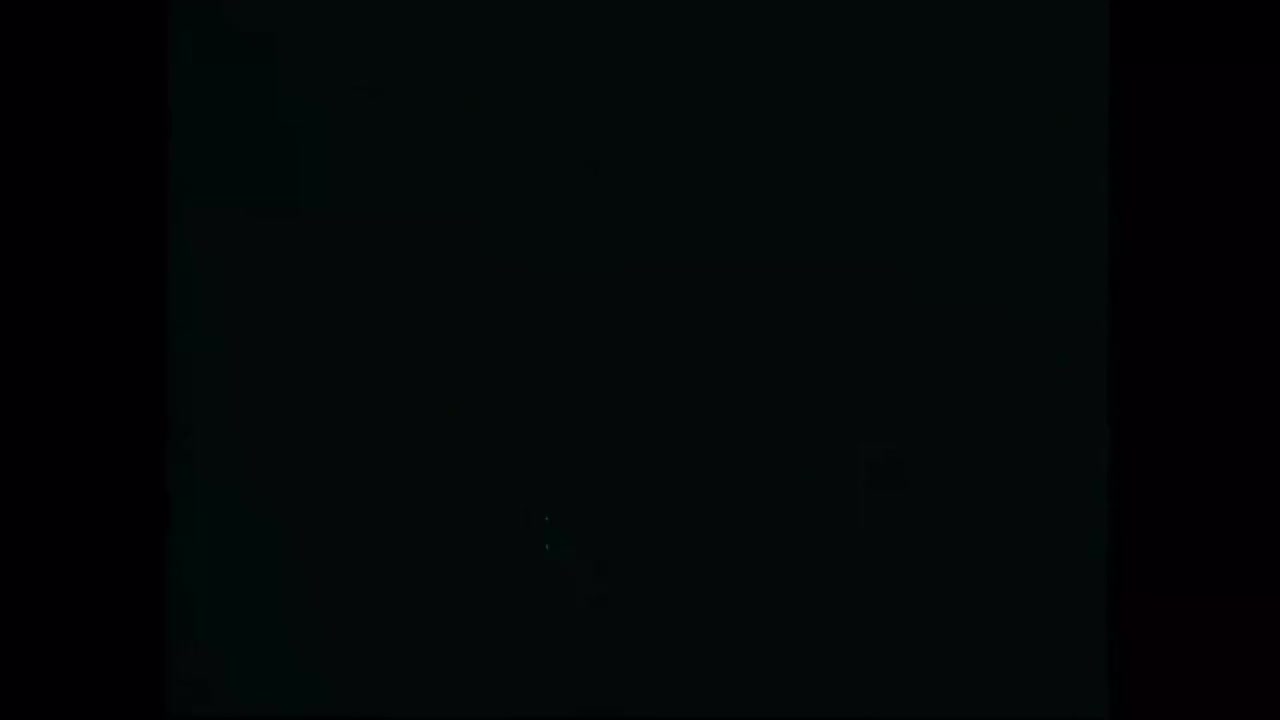 4.白额虎