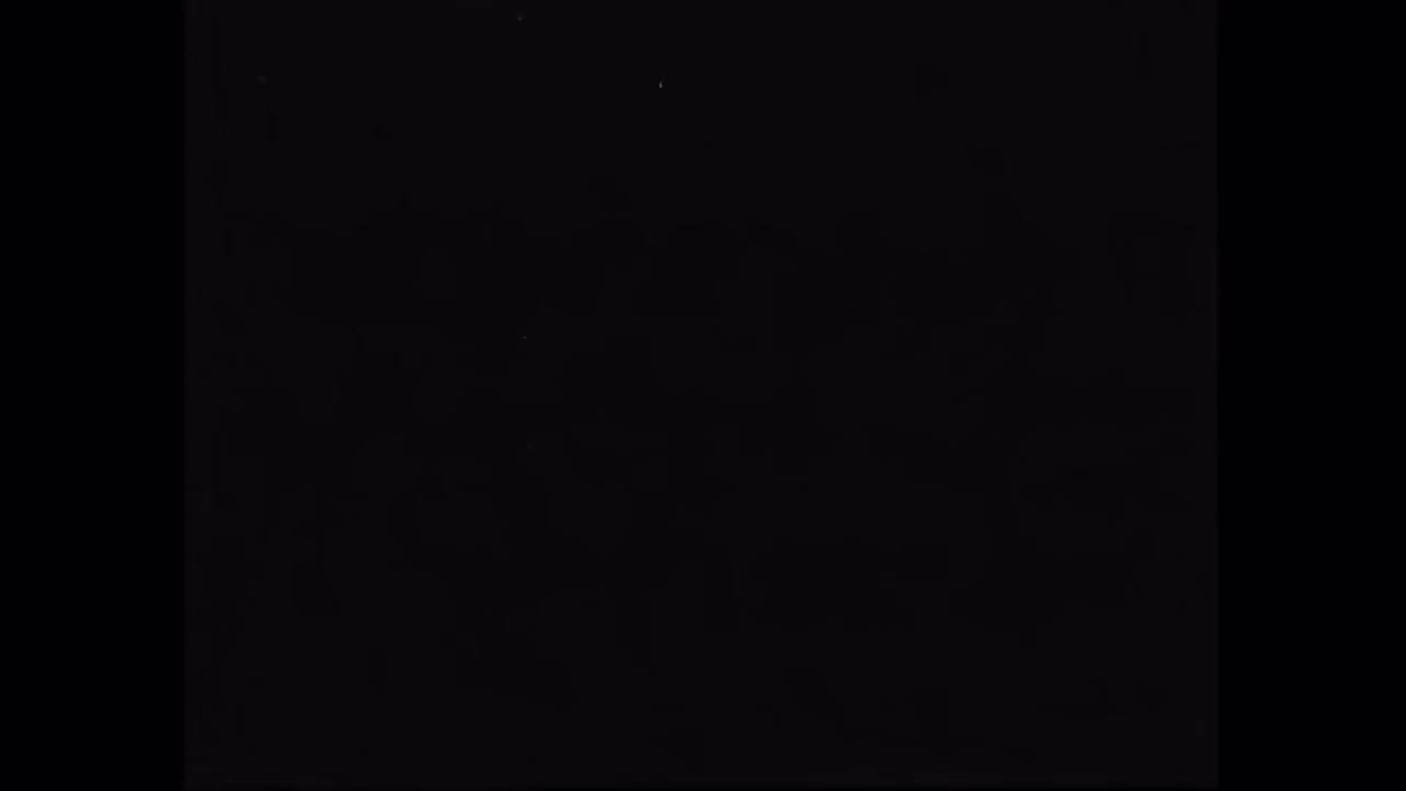 9.剑角羊