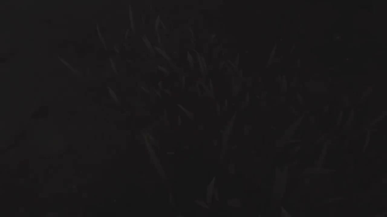 《原神》世界任务——献给某人的蔷薇