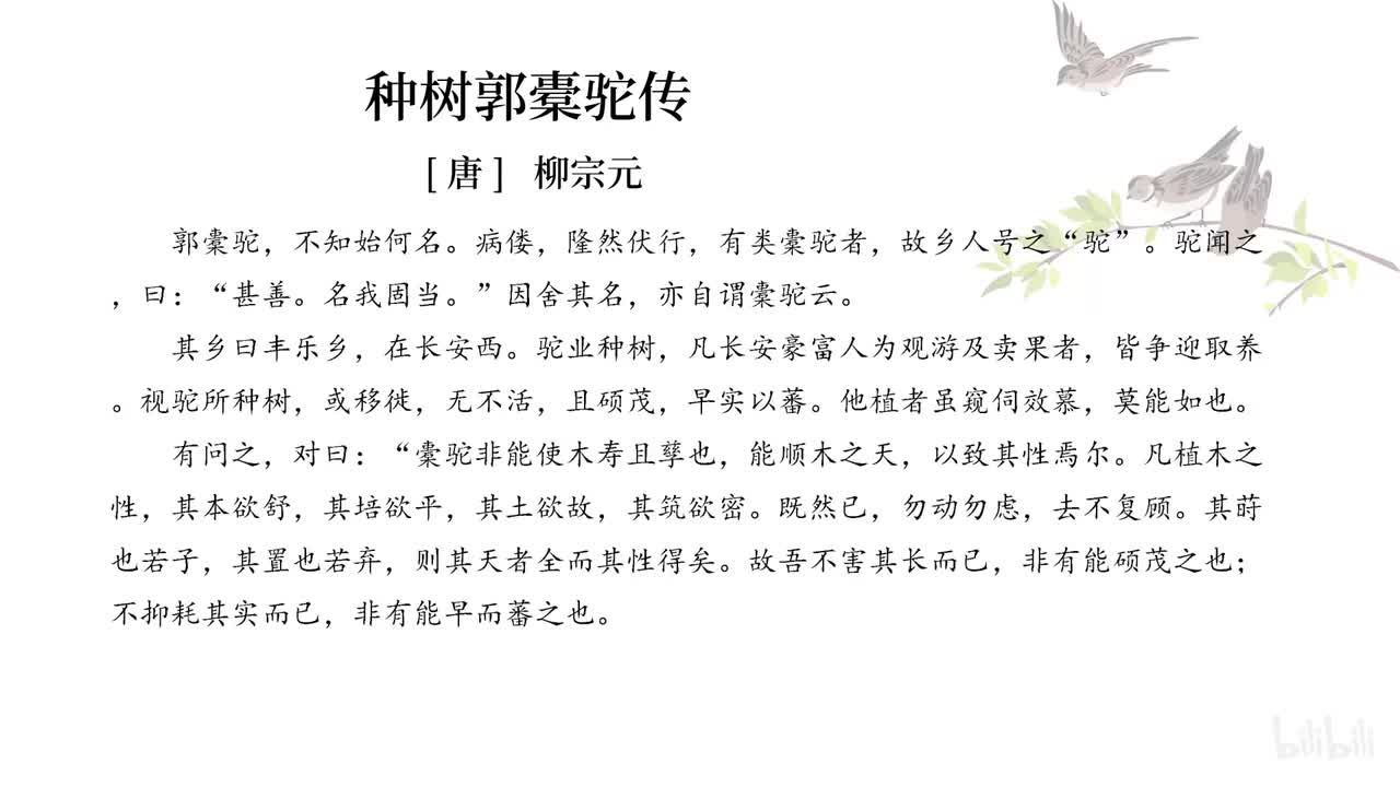 17种树郭橐驼传