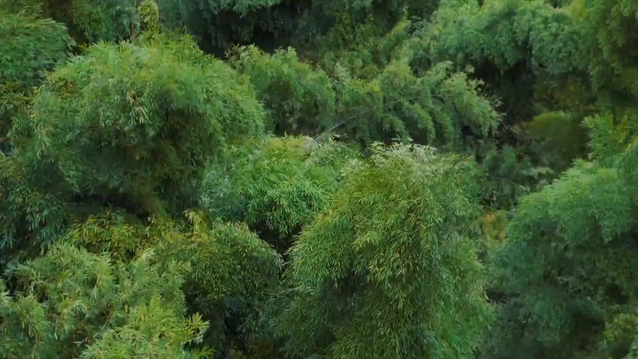 14、风吹-铃铛、书翻页、纱幔飘