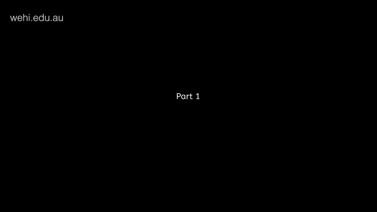 细胞凋亡和venetoclax 66-Apoptosis and venetoclax