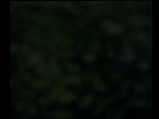 沙家兵选段_你待同志亲如一家