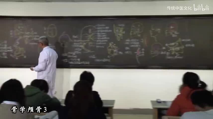 5-解刨学-运动系统-颅骨3