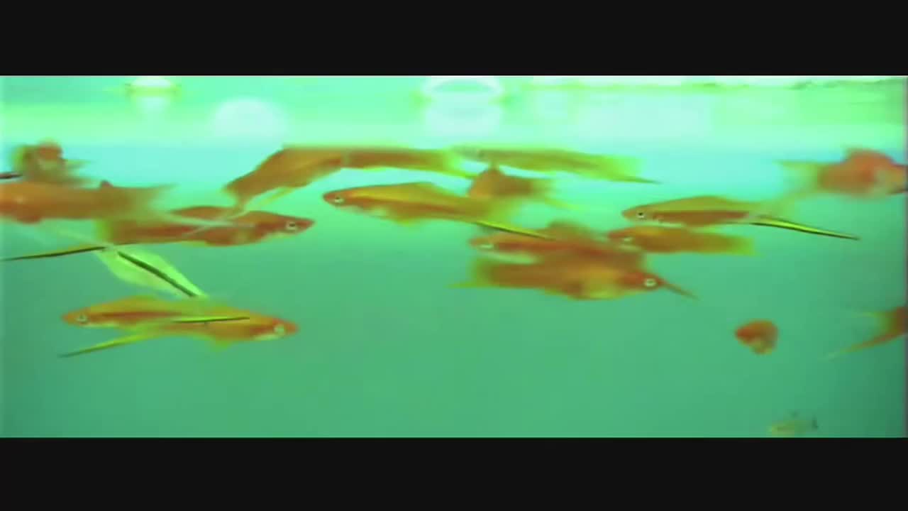 豆浆油条 【2th 第二天堂】